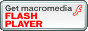 Flash Player ̃_E[h