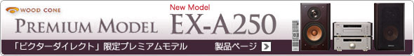 urN^[_CNgvv~Af EX-A250 iy[W