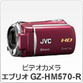 rfIJ GuI GZ-HM570-R