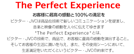 The Perfect Experience. qlɍō̊100̖B