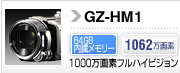 GZ-HM1
