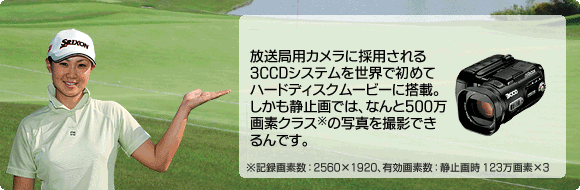 Q̃GuIЉ摜