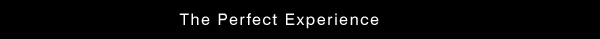 The Perfect Experience