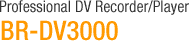 Professional DV Recorder/Player