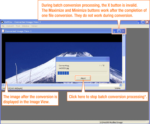 Screen during batch conversion