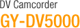 DV Camcorder GY-DV5000
