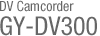 GY-DV300