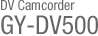 GY-DV500