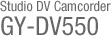 GY-DV550