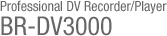 BR-DV3000