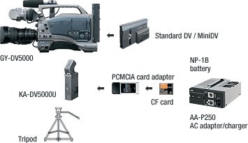 System 1: Single ENG system