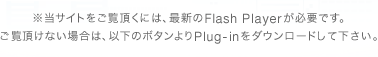 TCgɂ́AŐVFlash PlayerKvłB Ȃꍇ́Aȉ̃{^Plug-in_E[hĉB