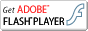 Flash Player ̃_E[h